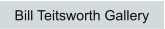 Bill Teitsworth Gallery
