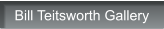 Bill Teitsworth Gallery